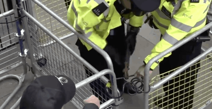 Police hoisted by their own sheep pen